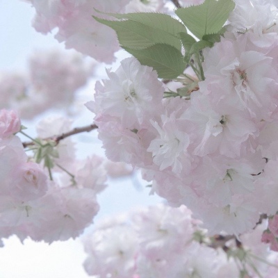 兽设节日场景设计兽圈群